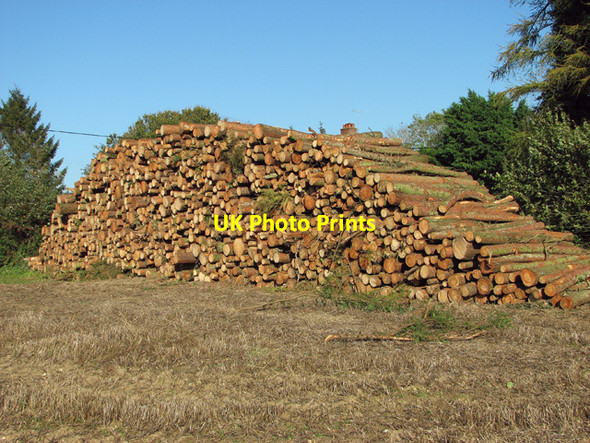 Photo 6"x4" A stack of pine logs on a field's edge Litcham c2014