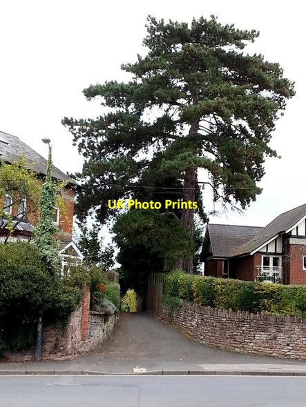 Photo 6"x4" Alley off Gloucester Road, Ross-on-Wye Ross-on-Wye c2014