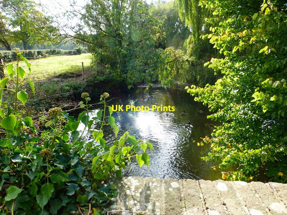 Photo 6"x4" Ducks on stream at Sheepwash Farm Furzeley Corner c2014