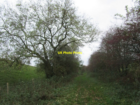 Photo 6"x4" Dale Road Sancton c2014