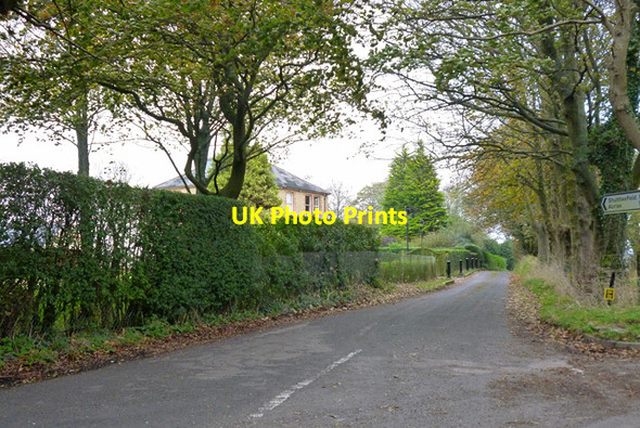 Photo 6"x4" Lane towards Shuttlesfield and Acrise Etchinghill\/TR1639 c2014