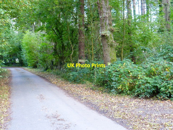 Photo 6"x4" Looking east on Bent Lane Hoe Gate c2014
