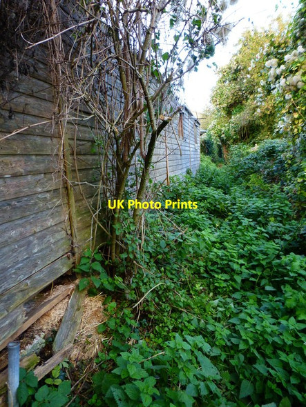 Photo 6"x4" Overgrown footpath by Kelanne Stud buildings Hoe Gate c2014