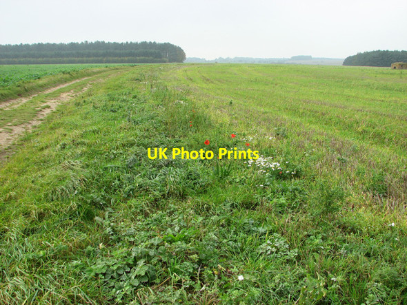 Photo 6"x4" Fields west of Great Massingham Great Massingham c2014