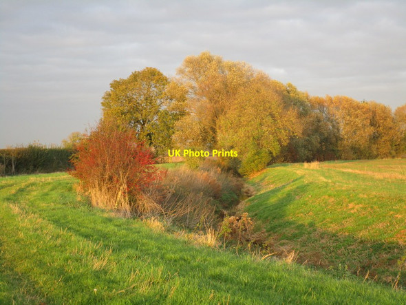 Photo 6"x4" Alongside Grassthorpe Beck Grassthorpe c2014