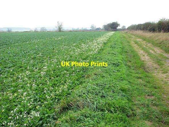 Photo 6"x4" Greengate Lane Great Massingham c2014