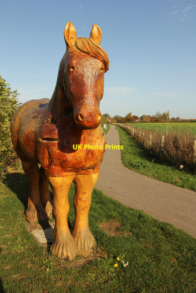Photo 6"x4" Bassingham Shire Horse Carlton-le-Moorland c2014