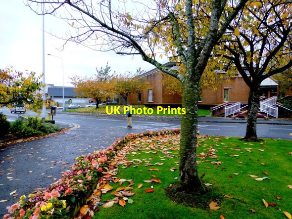 Photo 6"x4" Fallen leaves, Dublin Road, Omagh Omagh c2014