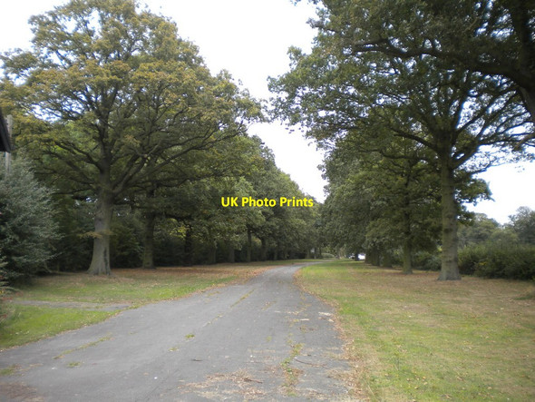 Photo 6"x4" Drive to Stanford Hall Stanford Hills c2014