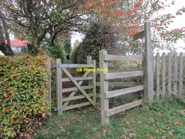 Photo 6"x4" Footpath to the church Sancton c2014