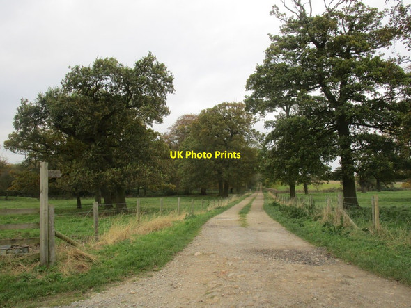 Photo 6"x4" Footpath to Cliffe Road Sancton c2014