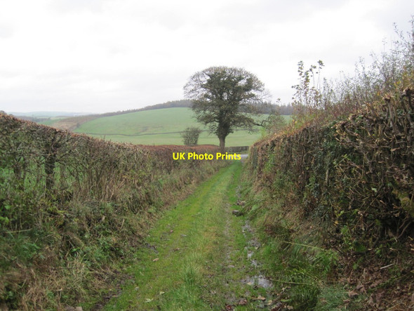 Photo 6"x4" Bridleway to A65 Hutton Roof\/SD5778 c2014