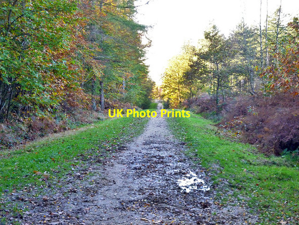Photo 6"x4" Muddy ride, Battle Great Wood Telham c2014