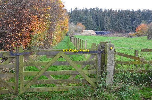 Photo 6"x4" Fieldside lane to Ancrum Ancrum c2014