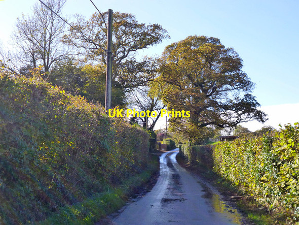 Photo 6"x4" Wet lane near Marlpits Marlpits\/TQ7013 c2014