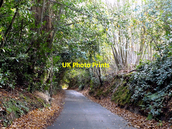 Photo 6"x4" Freckley Hollow Marlpits\/TQ7013 c2014