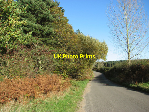 Photo 6"x4" Country lane to West Raynham Little Massingham c2014