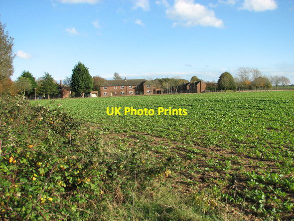 Photo 6"x4" Crop field by RAF West Raynham Weasenham St Peter c2014