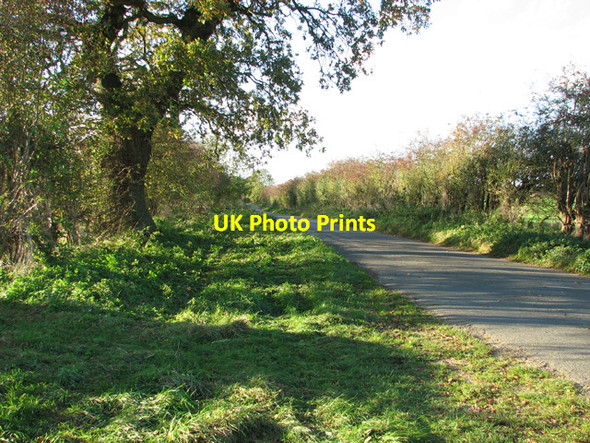 Photo 6"x4" View along Weasenham Road Weasenham St Peter c2014