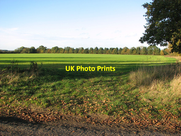 Photo 6"x4" Shelterbelt and fields by Fincham House Rougham\/TF8320 c2014