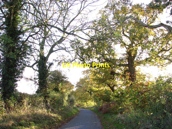 Photo 6"x4" Autumnal colours along the lane to Rougham Rougham\/TF8320 c2014