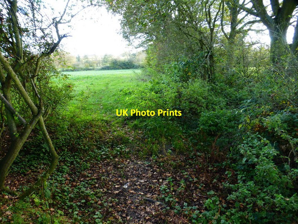 Photo 6"x4" Footpath from Heywood's Farm crosses field boundary. Fair Oak Green c2014