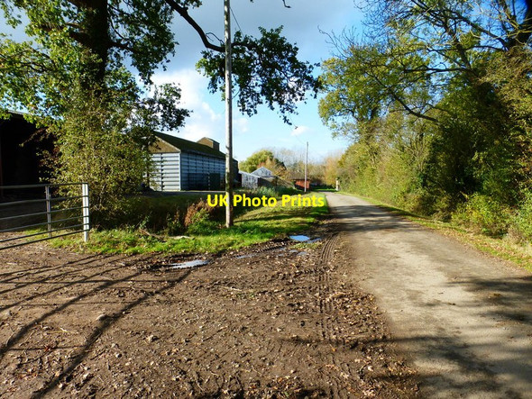 Photo 6"x4" The road to Stratfield Turgis Stratfield Turgis c2014