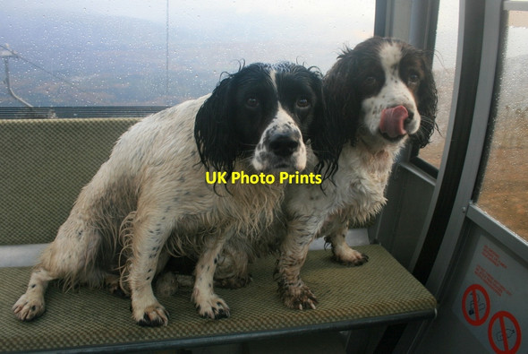 Photo 6"x4" Apprehension on the Gondola descent Torlundy c2014