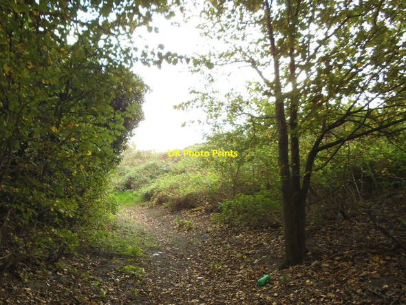 Photo 6"x4" Byway near Upper Ruxley Swanley\/TQ5168 c2014