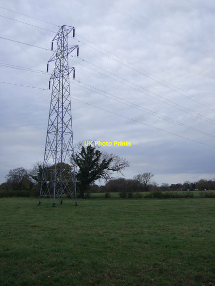 Photo 6"x4" Grazing and pylon Lower Bartle c2014