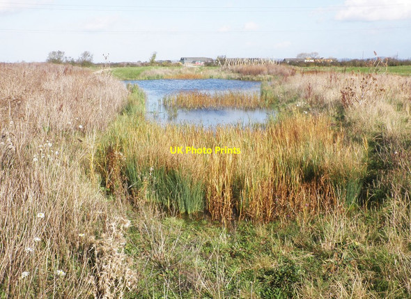 Photo 6"x4" Wetland 'scrape' at Steart Marsh Otterhampton c2014