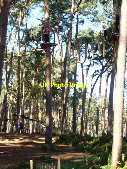 Photo 6"x4" Suspended logs on the aerial walkway, Center Parcs Steppingley c2014
