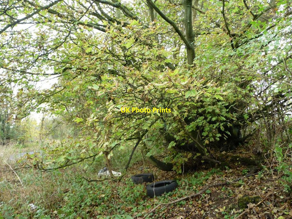 Photo 6"x4" Fly-tipping alongside Hexton Road Hexton c2014