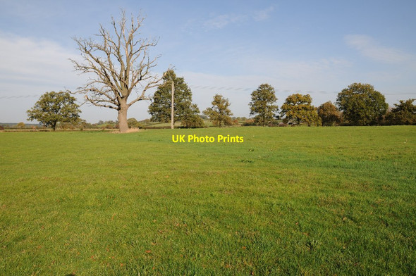 Photo 6"x4" Meadowland near Upton upon Severn Holly Green\/SO8641 c2014