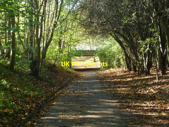 Photo 6"x4" Subway under Howard Way, Harlow Harlow c2014