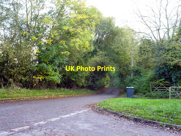 Photo 6"x4" Lane towards Cooper's End Bridge Green\/TL4636 c2014