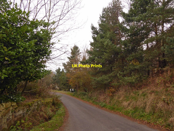 Photo 6"x4" A quite steep Halstead Lane Holmfirth c2014