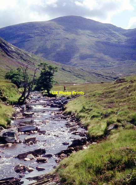Photo 6"x4" Allt a' Chonais Creag an Ardaich c1968