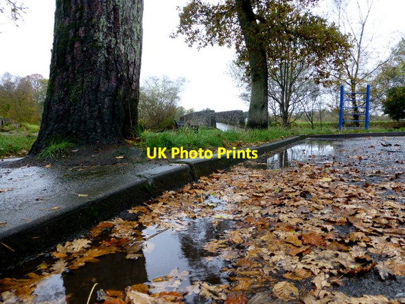 Photo 6"x4" Fallen leaves in water, Cranny Omagh c2014