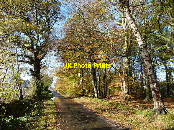 Photo 6"x4" Autumn colours at Corby Lea Corby Hill c2014