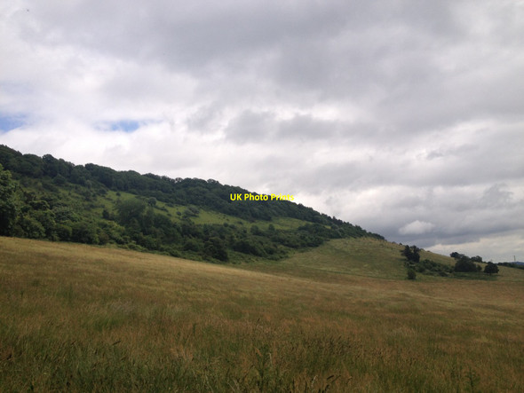 Photo 6"x4" Lower slopes of Box Hill Dorking c2013