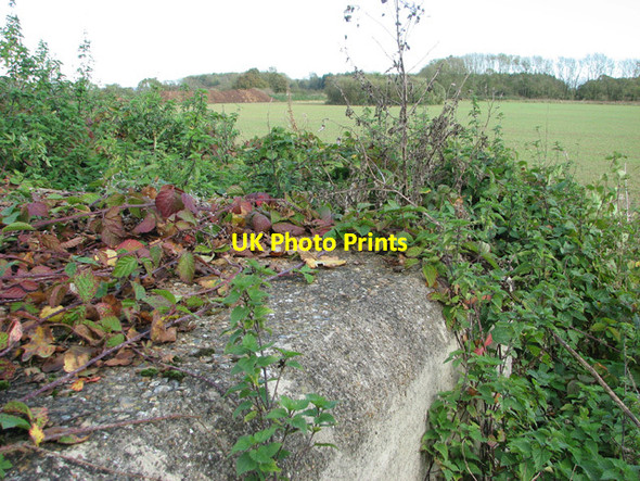 Photo 6"x4" Fields by West Raynham South Raynham c2014