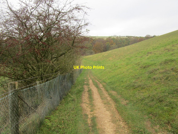 Photo 6"x4" View down Comber Dale towards Weedley Dale South Cave c2014