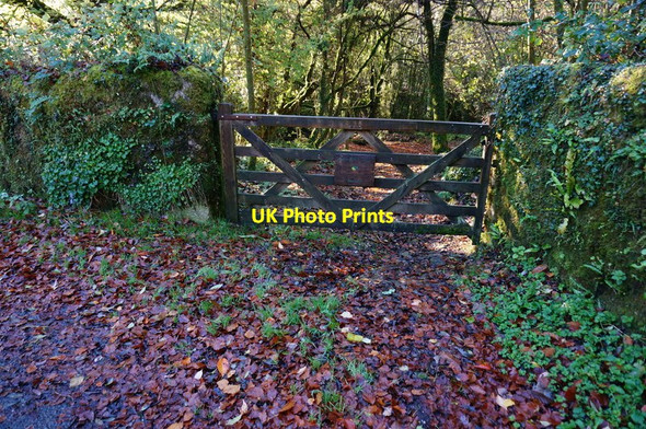 Photo 6"x4" Entrance to Greypark Wood Higher Dunstone c2014