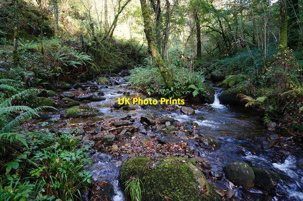 Photo 6"x4" Ruddycleave Water Buckland in the Moor c2014