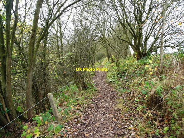 Photo 6"x4" Footpath from Swanwick Junction to Butterley Ripley\/SK4050 c2014