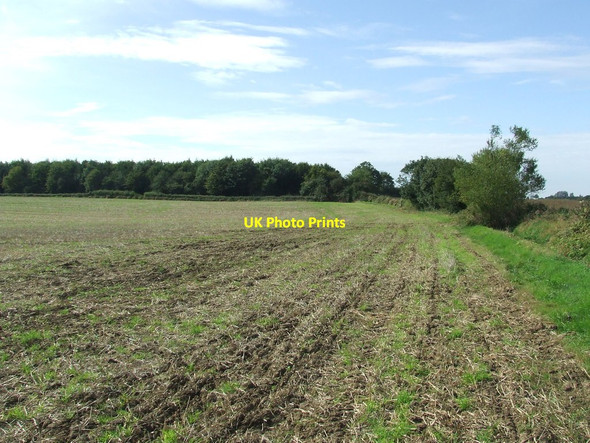 Photo 6"x4" Field boundary Heveningham c2014