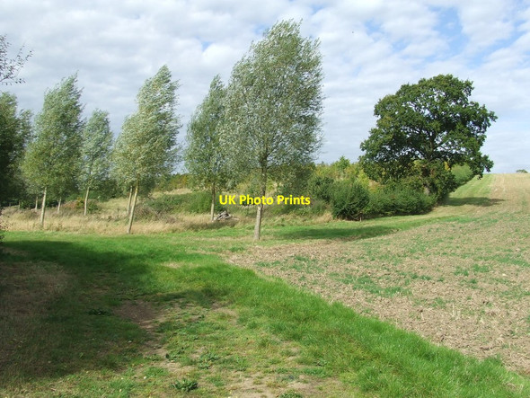 Photo 6"x4" Trees And Path Peasenhall c2014