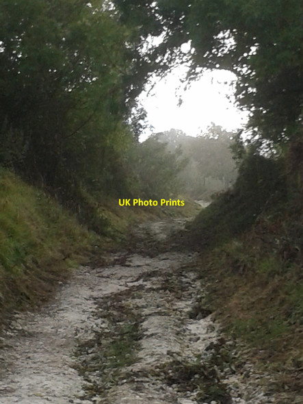 Photo 6"x4" Morning on the South Downs Way Washington\/TQ1212 c2014