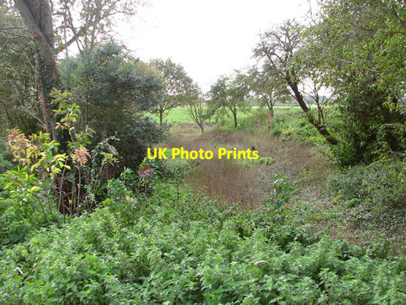 Photo 6"x4" A dried out pond Thurton c2014